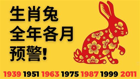 1963屬兔2023運勢|1963年屬兔人2023年運勢及運程63年生肖兔2023年本命年每月